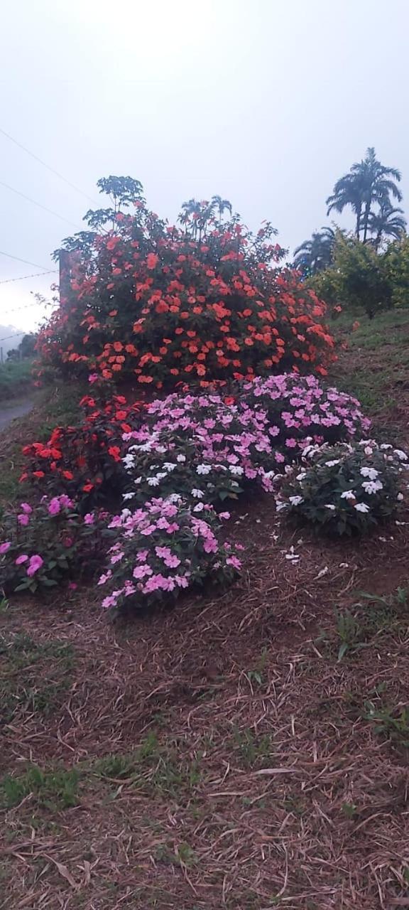 El Rincon De Las Flores Bajo Tigre Dış mekan fotoğraf
